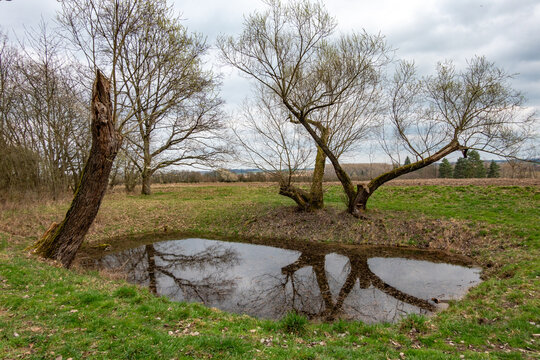 A small pond in the countryside