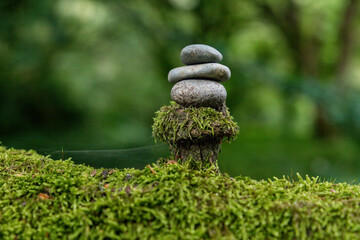 Pebbles on a moss covered tree branch