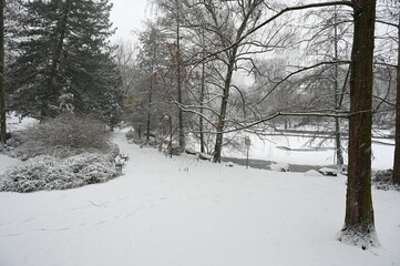 Bockenheimer Anlage in Frankfurt