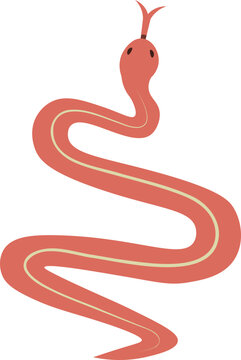 cute cartoon snake illustration.