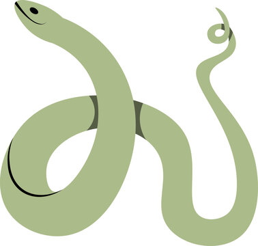 cute cartoon snake illustration.