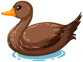 Gordijnen Vector graphic of a brown duck floating calmly © GraphicsRF