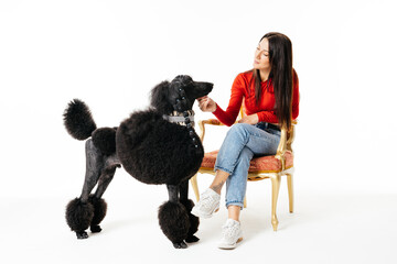Beautiful Woman in Red Blouse Bonding With Black Poodle on Chair Against White Backdrop