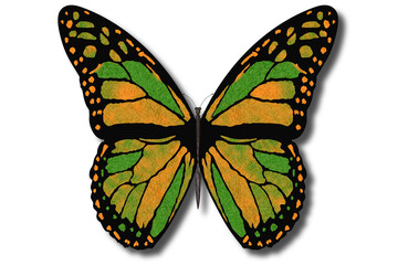 Farfalla colorata vola con le ali aperte su sfondo bianco..