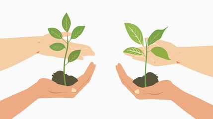Fototapeta na wymiar Two Hands holding young plant on the white background