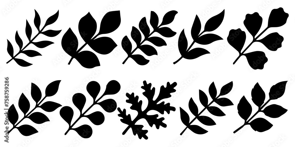 Poster a selection of branches of various plants. black vector silhouettes of branches with leaves.