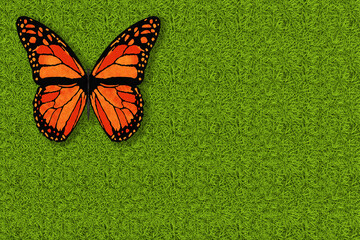 Illustrazione 3D. Primavera, estate. Farfalla su prato verde texture. Sfondo campo di erba con farfalla che vola. - obrazy, fototapety, plakaty
