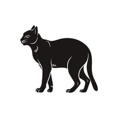 Obraz premium black silhouette of a cat side view isolated