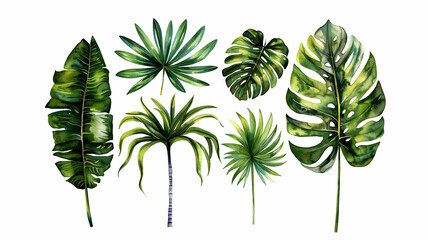collection of watercolor of exotic plants and palm leaves. - 758763415