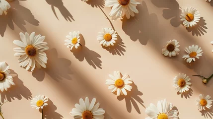 Foto op Canvas Elegant Aesthetic Chamomile Daisy Flowers Pattern © zahidcreat0r