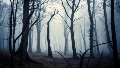 Dark forest with dead trees in fog. Mysterious horror scenery. Mystical atmosphere.