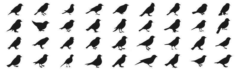 Fototapeta premium Different birds silhouette elements, low detailed illustration