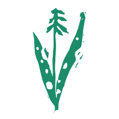 Botanical illustration, herbal emblem. Vector orchis militaris drawing. Linoleum print texture. Orchid logo design. Medicinal plants symbol design. Engraved healing herb icon. - 758769856