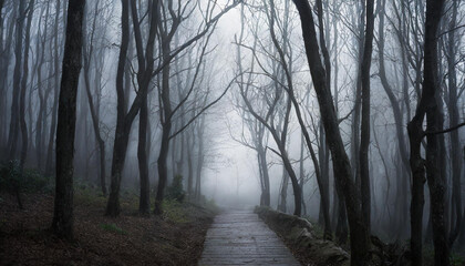 Fototapeta premium Dark forest with dead trees, path in fog. Mysterious horror scenery. Mystical atmosphere.