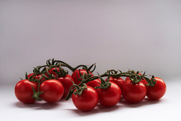 red tomatoes on a vine