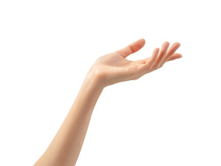 Hand holding or pointing to something on white background.