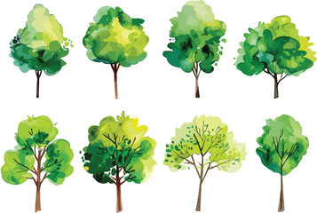 Set of watercolor green tree isolated on white background for landscape and architecture drawing, elements for environment and garden, botanical for section in spring