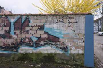 Mauerwerk mit alter Grafitti,  im Hintergrund mit blühender Forsythie 