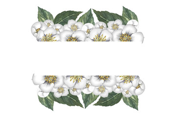 A frame with jasmine flowers. Fragrant white spring flowers. A hand-drawn watercolor illustration. For packaging, greeting and invitation cards and labels. For banners, flyers.