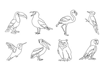 set of different birds, black line drawing, toucan, seagull, owl, owl, parrot, woodpecker on white background