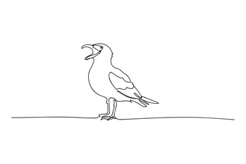 seagull bird, black line drawing, one line outline on white background