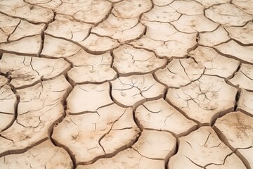 Cracked Dry Earth Texture