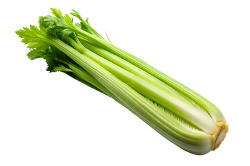 Celery Isolated On Transparent Background