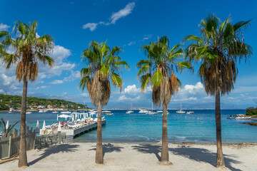 Palm trees on Garoupe beach in Antibes on the French Riviera in the South of France - 758786235