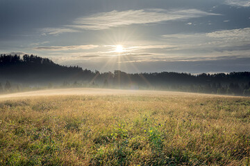 Beautiful summer landscape with foggy meadow and sun in the sky