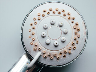 Silver shower head with limescales closeup. Calcified shower due to hard water. Hard water deposit...