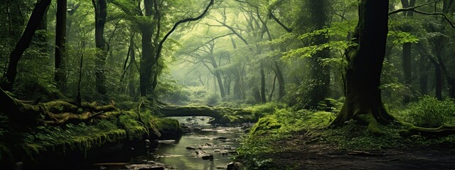 lush green forest with nature of tranquil beauty