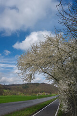 Fototapeta premium Radweg an der Landstraße vor schöner Landschaft