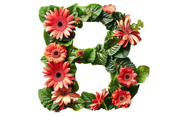B Letter Blossoms in Verdant and Crimson Petals isolated on transparent Background