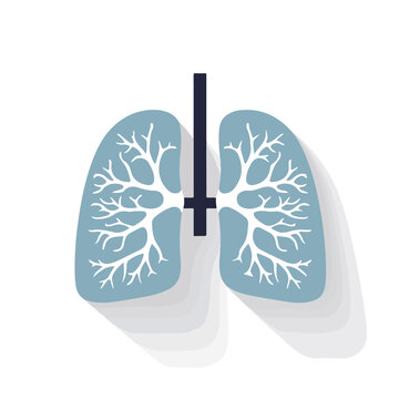 Flat modern design with shadow icons lungs flat vector