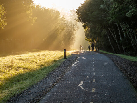People walking along a paved exercising path with trees on either side and the sun illuminating a low hanging fog, Sawyer Camp Trail, Crystal Springs Res, California