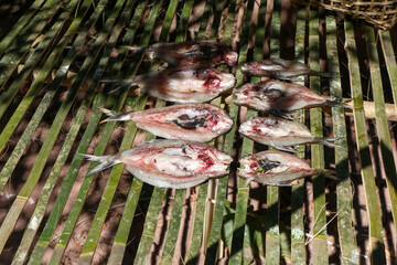 Sun-dried mineral river fish on a bamboo rack To preserve food, we make dried fish to eat. Preserving food of forest villagers