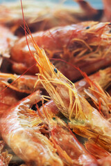 Bright shrimp close up, macro photography, background