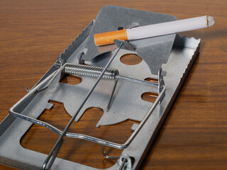 A cigarette being used as bait on a spring loaded trap. Concept of the lure of smoking tobacco,...
