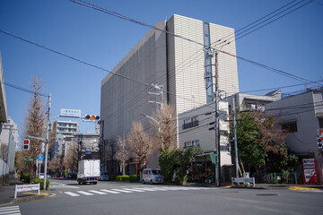 Fototapeta premium 東京都渋谷区東二丁目の都市風景