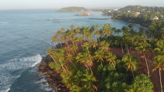 Aerial view of Coconut tree hill with palm trees at sunrise, Mirissa, Sri Lanka