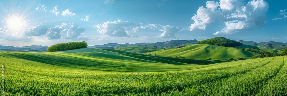 Poster A vibrant green field stretches towards towering mountains in the distance, creating a serene and picturesque landscape