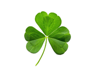 three leaf clover isolated on transparent background