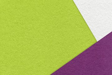 Texture of craft green color paper background with white and purple border. Vintage abstract cardboard.
