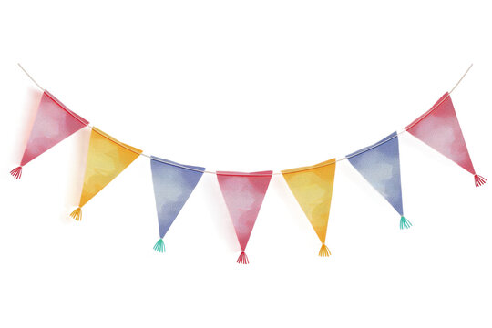 Flagged Bunting Beauty on transparent background,