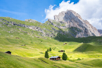 Fototapeta na wymiar Seceda, Dolomites Alps, South Tyrol (Alto Adige), Italy