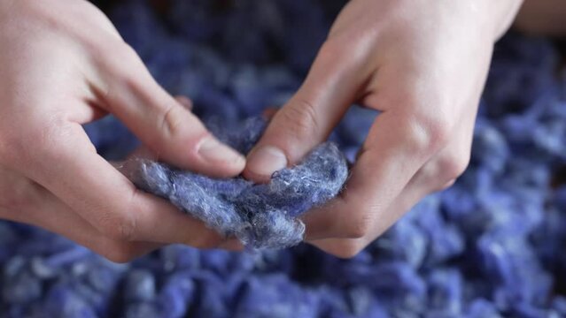 Cotton Shoddy. Textile recycling. Denim Jeans Upcycled into Cotton Fiber. Circular economy