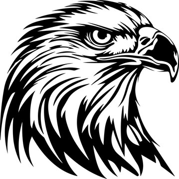 Eagle Head SVG, Eagle SVG, Eagles SVG, Eagle Mascot svg, Bald Eagle svg, Eagle Flag svg, Mexican Eagle svg, Patriotic Eagle svg