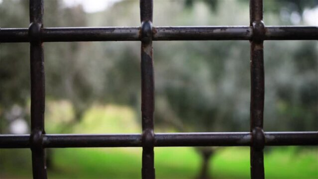 Metal wrought-iron fence close up
