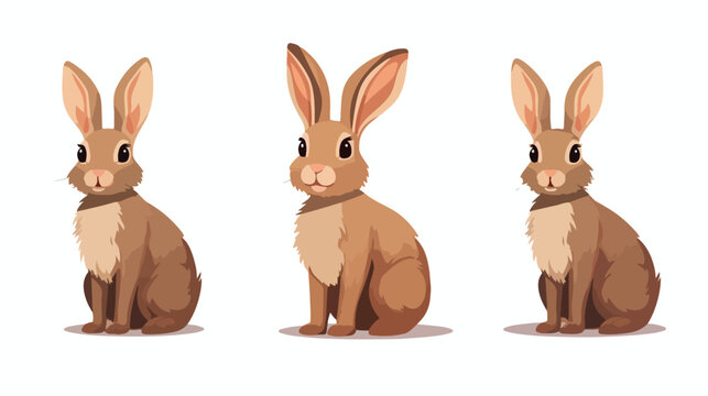 Brown Rabbit cartoon rabbit