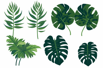 Tropical leaves collection. Vector isolated elements on the white background.	